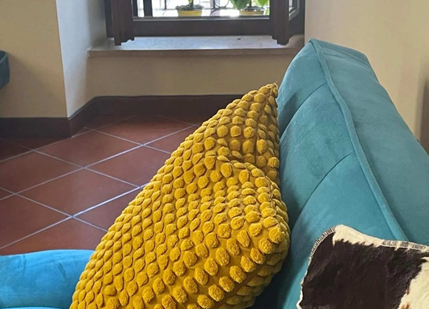 Apartmán Montecchi House Verona