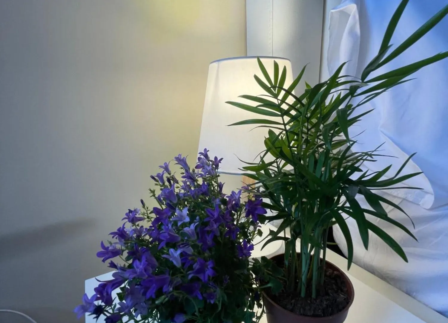 Apartmán Montecchi House Verona